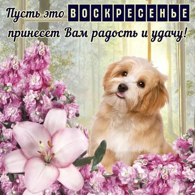 Классного воскресенья #62