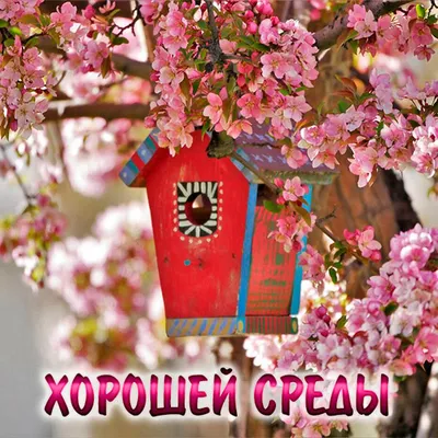 Классной среды картинки