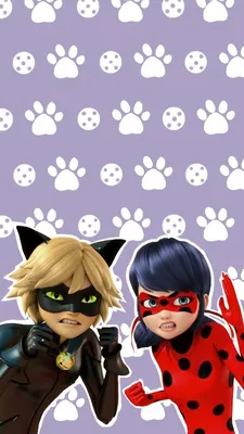 Топ 10 обоев ЛедиБаг и супер кот | Miraculous Amino