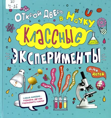 Мама, тут так классно!": как украинские дети начали учебу в эстонских  школах - В Эстонии