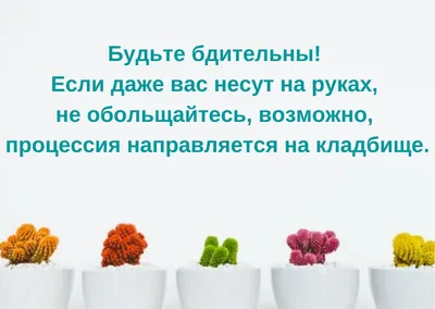 Классные статусы, цитаты и афоризмы — Фото |  | Вдохновляющие цитаты,  Вдохновляющие высказывания, Мотивирующие цитаты