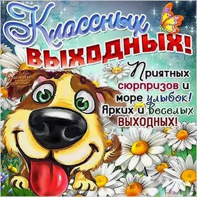 Классных выходных #48