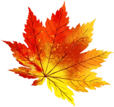 Осенний кленовый лист желтый на прозрачном фоне | Премиум PSD Файл