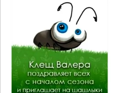 Раньше времени: клещи уже вышли на “тропу войны” в Ростовской области |   | Дзен