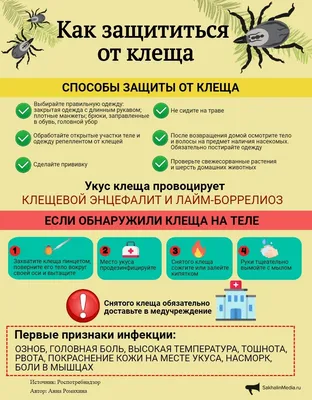 Как черт ладана боятся – сажаем на даче растения, которые отпугнут клещей -  PrimaMedia