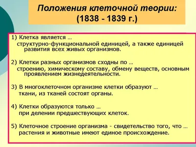 Презентация на тему: "Клетка структурная и функциональная единица организма.".  Скачать бесплатно и без регистрации.