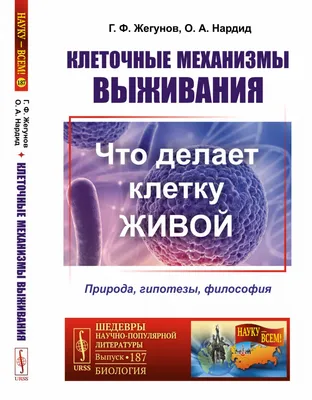 Клеточное сито, размер пор 70 мкм, стерильное, индивидуально упакованное,  50 шт/уп, NEST, NEST: купить Клеточные сита