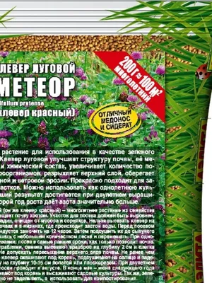 Семена. Клевер луговой "Метеор" (вес: 200 г) - характеристики и описание на  Мегамаркет