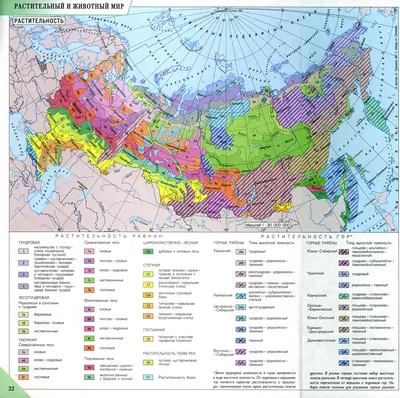 Климат России: от Краснодара до Оймякона | ELLESS | Дзен