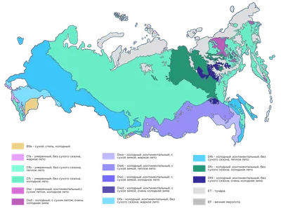 Климатические пояса России: умеренный и субтропический