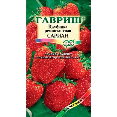 Аминокислоты BCAA PRO 250 г Клубника - купить недорого с доставкой по  России | Официальный интернет-магазин GeneticLab