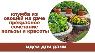 Цветник своими руками: 63 идеи оформления клумб и цветников с фото и  советами | Houzz Россия