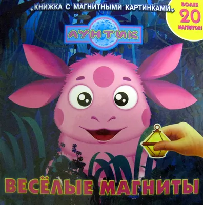 Магнитная книжка-игрушка цена | 