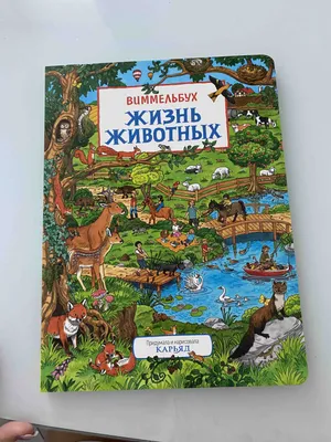 Книжка в мире сказок картинки