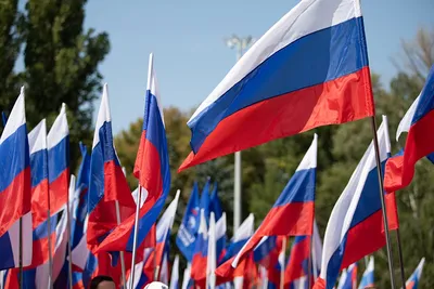День Российского флага в детском саду — 
