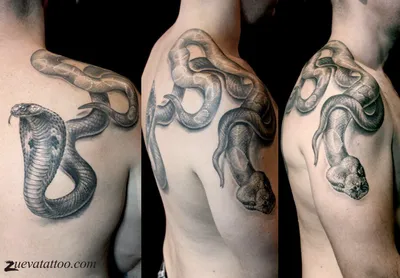 Cobra tattoo Тату кобра | Тату кобры, Тату, Скандинавские татуировки