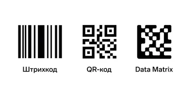 QR-код: зачем нужен, как работает и почему именно смартфоны сделали QR-коды  столь популярными и востребованными / Смартфоны и мобильные телефоны / iXBT  Live