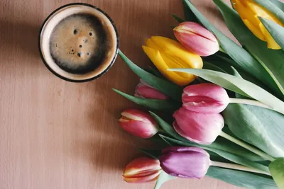 spring #morning #photo #nature #flowers #book #coffee #window #nikon #d7100  | Kahve molası, Kahve saati, Kahve çekirdekleri