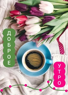 Картинки букет Кофе тюльпан цветок чашке Доски 2560x1706