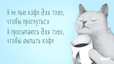 Добрейшего утра! Хорошего дня 🤗😊😜🌞🌞🌞🌈☕ #доброеутро #настроение  #позитив #gudmorning #мантра #аффирмации #юмор #кофе #завтрак | Instagram