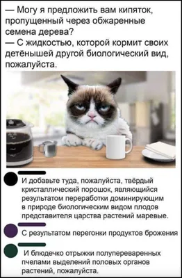 coffee / смешные картинки и другие приколы: комиксы, гиф анимация, видео,  лучший интеллектуальный юмор.