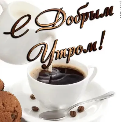 Доброе утро! Кофе для тебя! 🌹☕🌹 | Доброе утро, Смешные таблички,  Счастливые картинки