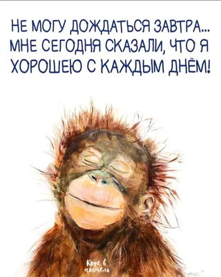 1,448 отметок «Нравится», 9 комментариев — Кофе В Постель (@coffee2bed) в  Instagram: «А завтра - будет е… | Юмористические цитаты, Смешные шутки,  Утренние сообщения