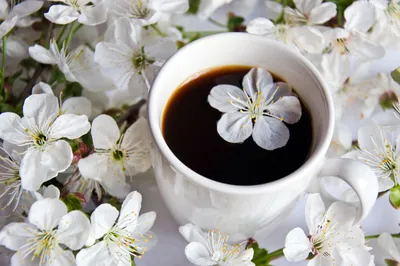Кофе с ароматом весны — конкурс "Мир кофе" — Фотоконкурс.ру