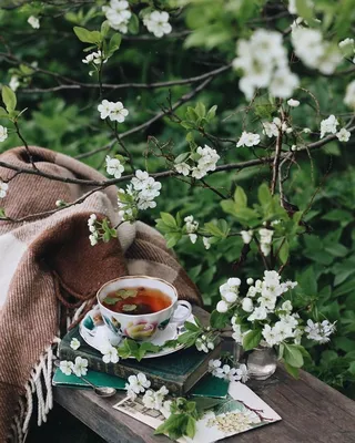 Весна,утро,кофе,цветы,» — создано в Шедевруме