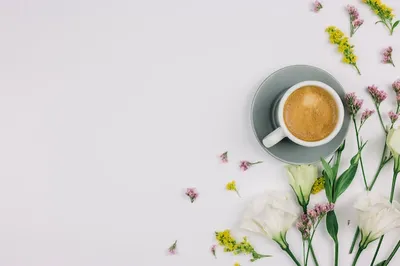 Olga Slizh on Instagram: “⠀⠀Tuesday floral coffee ☕♡ ⠀ ⠀⠀Весна в этом году  приходит мимо, но утренний кофе остаётся неизменным💭 ⠀ #moreth… | Bim dia  meu amor, Café