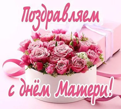 Вениамин Кондратьев: Сегодня отмечаем самый светлый праздник – День матери  - Лента новостей Краснодара