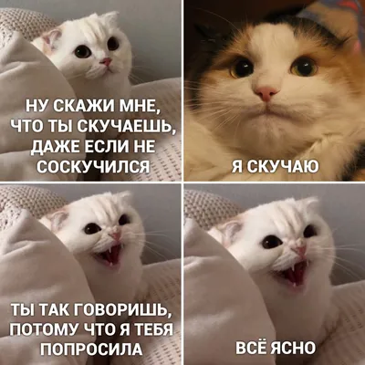 Открытки "Скучаю по тебе!" (100+)