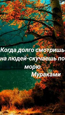 Позвони мне как-нибудь ночью. скажи, что скучаешь. | Я тебя люблю |  ВКонтакте