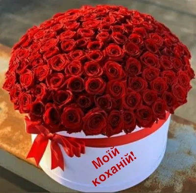 Моїй коханій! | Red roses centerpieces, Basket flower arrangements, Best  roses