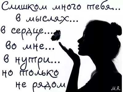 Очень скучаю по своему котику. И что бы было не так грустно об этом  рассказывать , добавлю смешные картинки с участием котов)) | Мания | Дзен