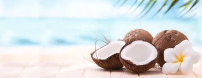 Свежий хайнанский молодой кокос изображение_Фото номер 501707420_JPG Формат  изображения_