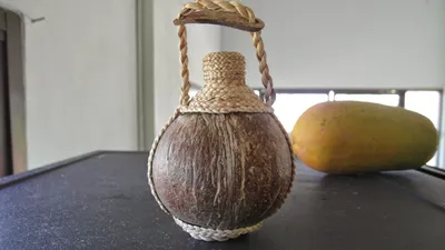 Поделки из кокоса своими руками - фото и картинки: 69 штук