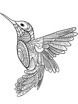 Птичка колибри , нарисованный масляными…» — создано в Шедевруме