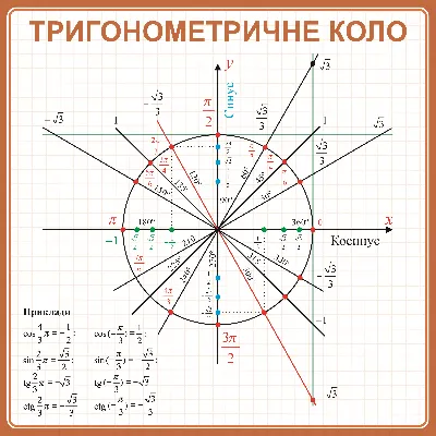 Математика 2 клас. Коло та круг - YouTube