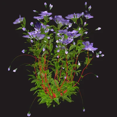 Искусственные цветы Колокольчики (50 см) (8шт) (ID#706140464), цена: 42 ₴,  купить на 