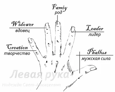 Значение колец на пальцах рук | Надежда Свет-Алексеевна | Дзен