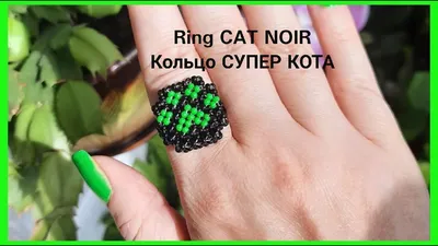 Кольцо кота нуара | 🐞Russian Miraculers🐞 Amino