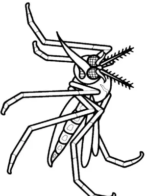 Комар рисунок для детей поэтапно (51 фото) » рисунки для срисовки на  Газ-квас.ком
