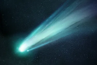 Посмотрите вверх: факты, загадки и домыслы о кометах — Naked Science