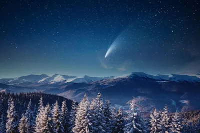 Что это за комета, которую сейчас видно на небе? – Москва 24, 