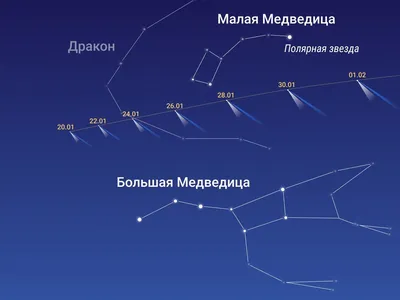 К Земле летит «Рождественская комета» - в прошлый раз ее видели  неандертальцы | Mixnews