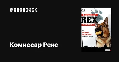 Комиссар рекс #55