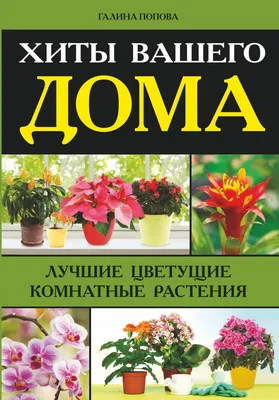 Комнатные растения в современном интерьере: как выращивать комнатные цветы  / Комнатные растения