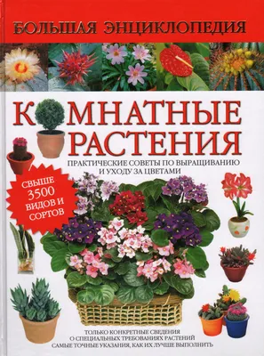 Комнатные растения - 100 самых полезных, каталог с названиями и описанием