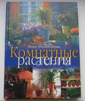 Комнатные растения. Энциклопедия, , АРТ-РОДНИК купить книгу  978-5-9561-0118-6 – Лавка Бабуин, Киев, Украина